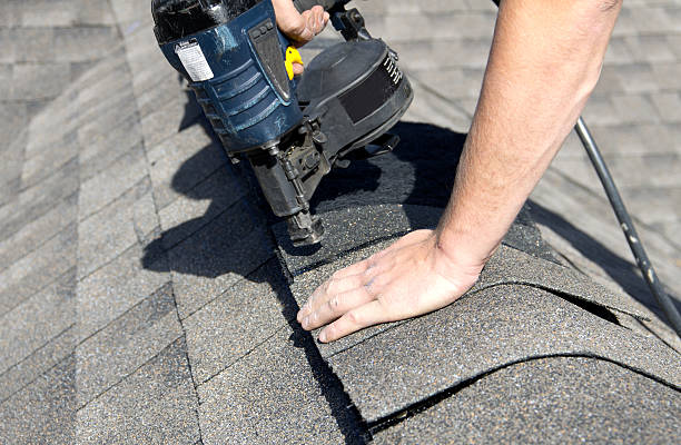 Best Roof Moss and Algae Removal  in Grapevine, TX